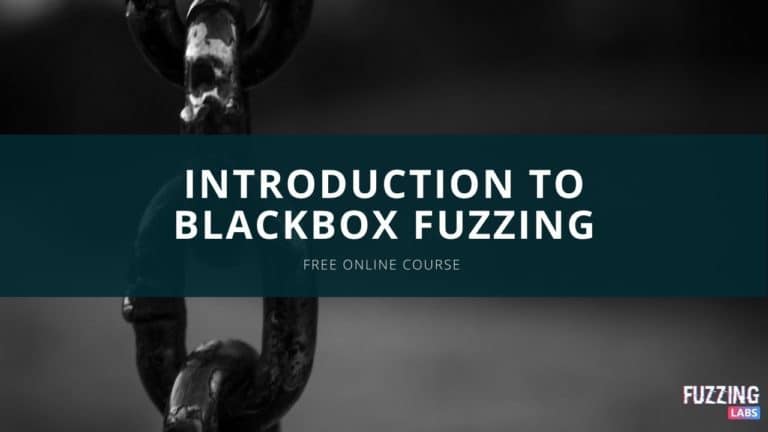 blackbox fuzzing binary-only afl aflplusplus afl++ qemu