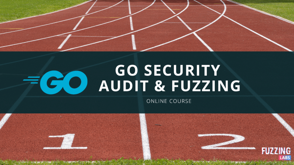 go golang security fuzzing audit fuzz gofuzz go-fuzz