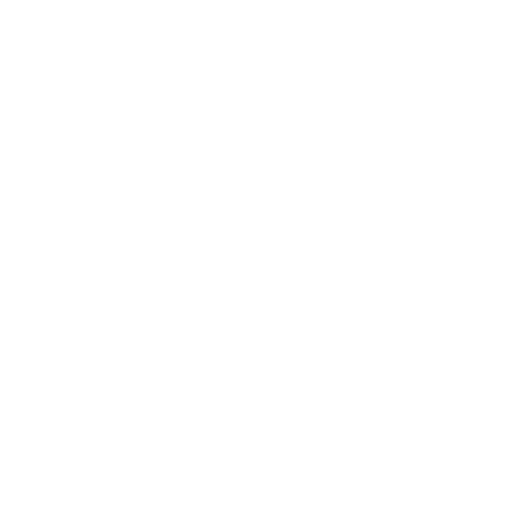 Shield icon for sovereign security testing on defense programs